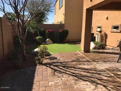 Backyard 2