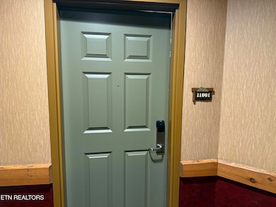 1424 Old Knoxville Hwy unit 11001, Sevierville, TN 37876 - photo 2