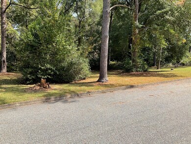 104 Lakeview Dr, Eufaula, AL 36027 - photo 3