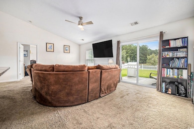 Living room featuring lofted ceiling, carpet floors, a ceiling fan, and a textured ceiling