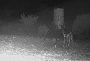 780 Sd 42000, Rocksprings, TX 78880 - photo 5