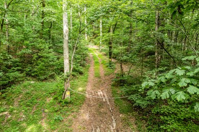 158.37 Acres | Williams Rd