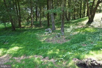 100 Hardwood Ln, Ivyland, PA 18974 - photo 4