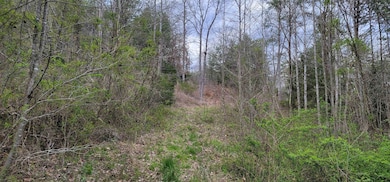 0 Duck Puddle Rd, Greenup, KY 41144 - photo 2