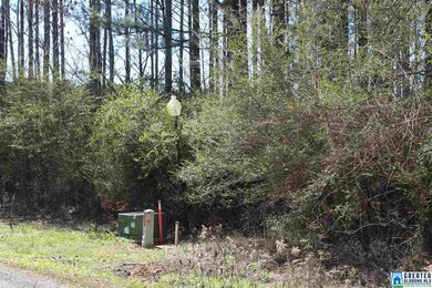 00 Clarendon Rd unit lot 61, Cullman, AL 35057 - photo 4