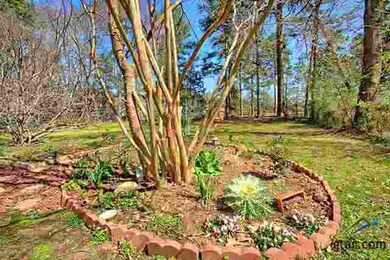 13451 County Road 2216, Tyler, TX 75707 - photo 3