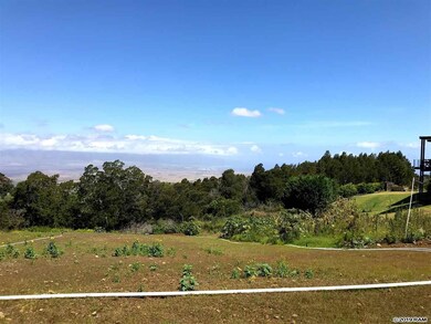 0 Ainakula Rd unit Lot 1, Land Court 3, Kula, HI 96790 - photo 5