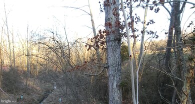 Lot 2 Route 51 - Middleway Pike, Bunker Hill, WV 25413 - photo 6