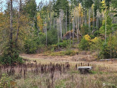 0 Rocky Brook Rd unit Lot K NWM2302643, Brinnon, WA 98320 - photo 4