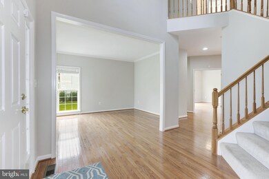 22151 Winter Lake Ct, Ashburn, VA 20148 - photo 3