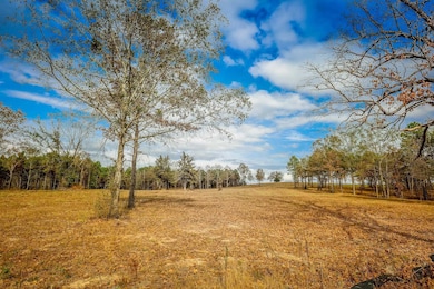 26 AC Cr 3103, Winona, TX 75792 - photo 4