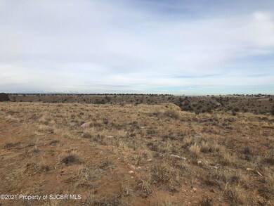 NYA Road 3775, Farmington, NM 87401 - photo 6