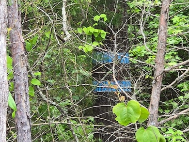 0 Booger Hollow Rd unit 23734488, Dadeville, AL 36853 - photo 7