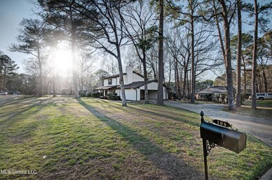Front yard