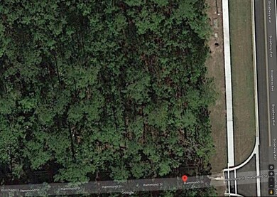 0 Indiana Ave unit 1066795, Ormond Beach, FL 32174 - photo 2