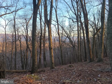 LOT 2 High Knob, Old Fields, WV 26845 - photo 7