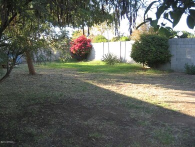 BACKYARD 3