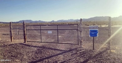 39003 Avenue 41 E, Salome, AZ 85348 - photo 7