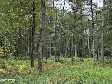 20 Oak Ln, Waymart, PA 18472 - photo 5