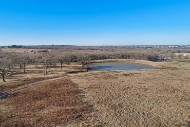 2011 Adelles Ln, Weatherford, TX 76087 - photo 7