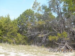 2.833 Acres Cr 4808, Copperas Cove, TX 76522 - photo 3