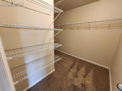 Spacious closet featuring carpet flooring
