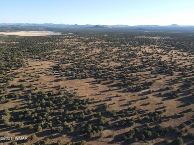 DJI_0368