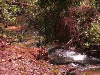 209 W H 7, Salem, SC 29676 - photo 7