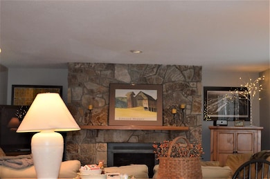 5 Northbrook Village Rd unit Seasons A- 28, Dover, VT 05356 - photo 5