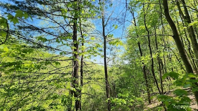 11 & 17 Tara Dr unit 2-3, Asheville, NC 28806 - photo 5