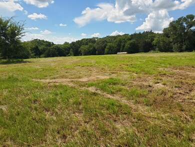 View of woods featuring a rural view