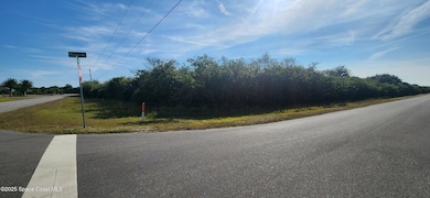 Xxx Fawn Trail St, Palm Bay, FL 32909 - photo 5