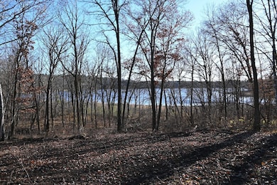 TBD Ottawa Dr, Browerville, MN 56438 - photo 6