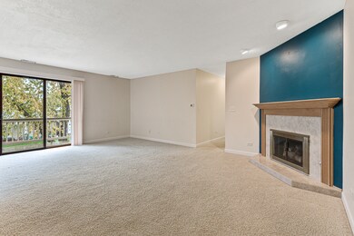 521 Cumberland Trail unit D, Roselle, IL 60172 - photo 4