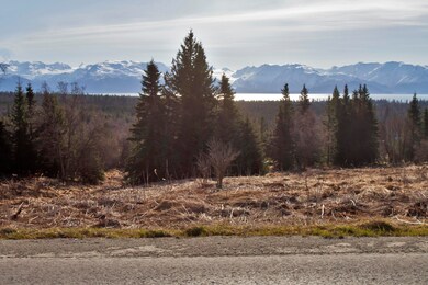 000 E End Road Homer AK 99603