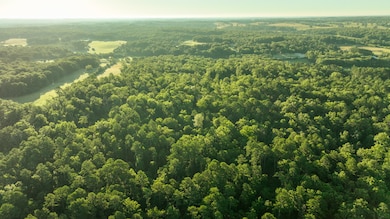 0 unit 11317518, Willow Springs, MO 65793 - photo 6