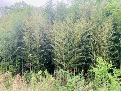 27909 Nichols Loop Rd, Little Rock, AR 72223 - photo 6