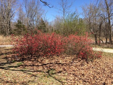 12692 Miller Church Rd, Bentonville, AR 72712 - photo 7