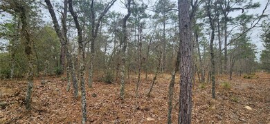 000 SW 92nd Place, Dunnellon, FL 34432 - photo 7