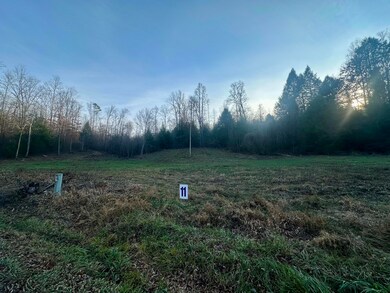 Lot 11 Hensley Rd, East Bernstadt, KY 40729 - photo 5