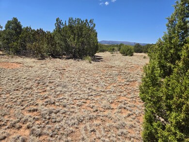 0 County Rd A102 unit 15, Tajique, NM 87016 - photo 6