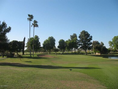 17811 N Lindgren Ave, Sun City, AZ 85373 - photo 7