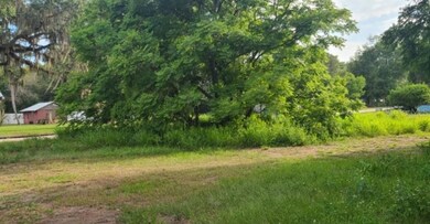 0 S Pine Ave, Fort Meade, FL 33841 - photo 5