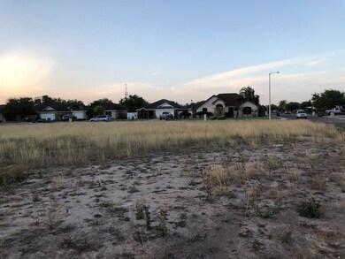 00 Vanilla Dr, Alamo, TX 78516 - photo 4