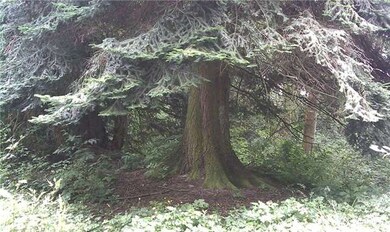 28801 80th Ave NW, Stanwood, WA 98292 - photo 5