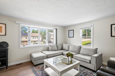 16 Bolton St, Worcester, MA 01604 - photo 4