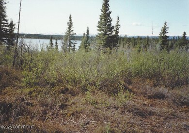 000 Lake Louise Rd, Glennallen, AK 99588 - photo 4