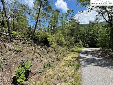 10 Sequoyah Cir, Marion, NC 28752 - photo 5