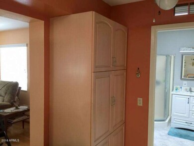 9951 W Tarrytown Ave, Sun City, AZ 85351 - photo 5