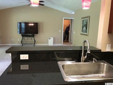 292 Beulah Cir, Conway, SC 29527 - photo 6